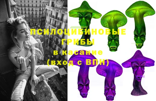 PSILOCYBIN Вязники